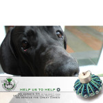3D Soutache earrings (green) / Kolczyki soutache 3D (zielone) by tender December, Alina Tyro-Niezgoda